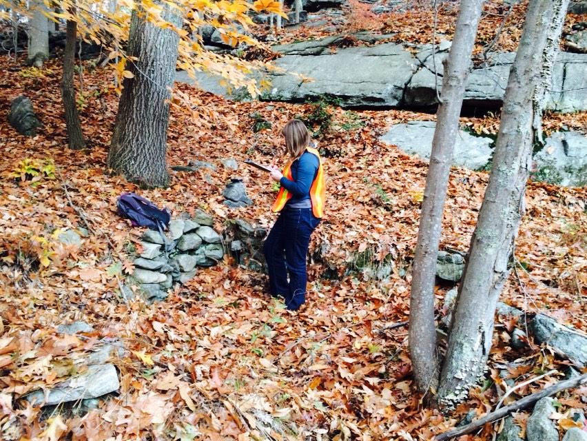 APGraesch's tweet photo. #CCarchaeology in the field on another fine autumn day recording 17-18th century house foundation in @CCArboretum http://t.co/ll4ovdzWmc