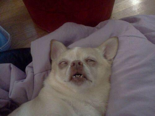 9GAG's tweet photo. current mood: http://t.co/SpkUhGcapV