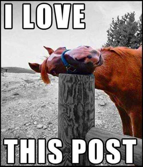 FSUHealthCenter's tweet image. #HAPPYFRIDAY FSU!! Have a great weekend!!