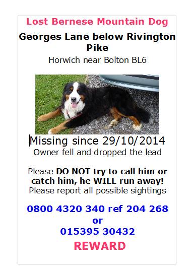 kazzabee1963's tweet image. Please RT to help #findMurphy - missing Bernese Mountain Dog in Rivington, Greater Manchester, Lancashire