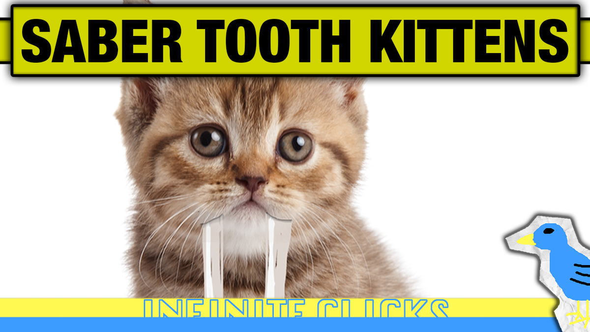 InfiniteClicks's tweet photo. Adorable AND Deadly w/@bretterlich @joemcadam
#SaberToothTiger #Kittens #Cats #CatPics #Meow https://t.co/QhMAftRmPs http://t.co/aA2upI0W7m