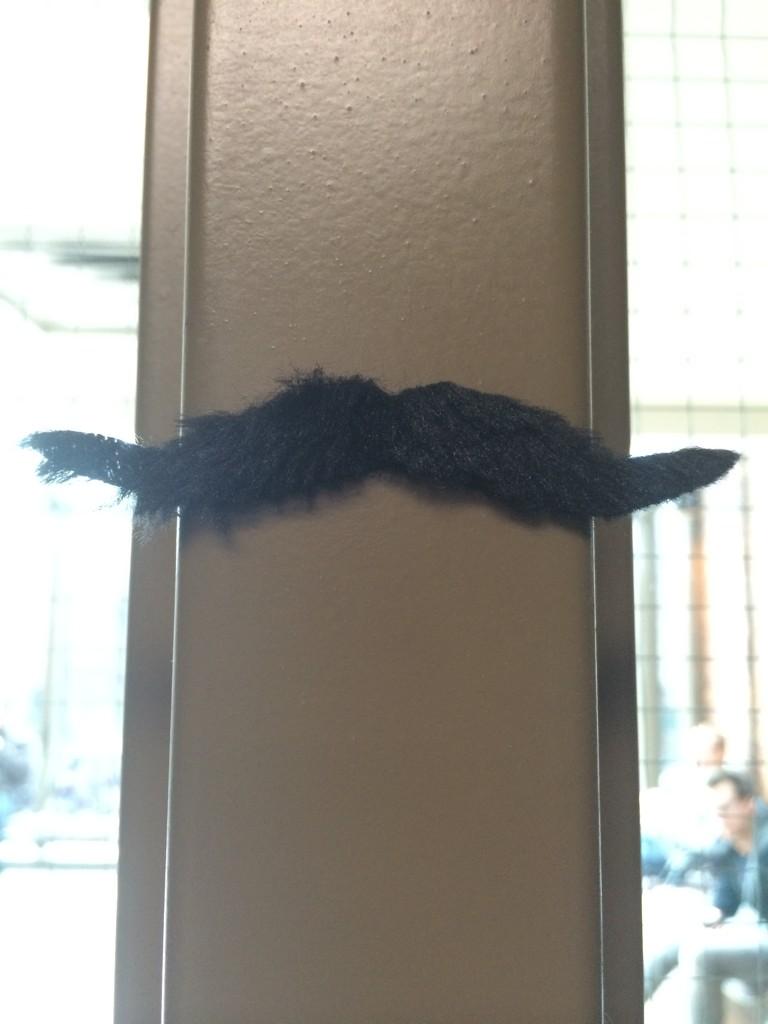 PhilAndLuca's tweet photo. Phil and Luca are taking part in @MovemberCA and so are the window frames... Are you???  #GoodCause http://t.co/MhiLs8PLdn