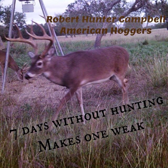 AHBossHog's tweet photo. Book a hunt with Robert. RT @AHRobertHunter: Whitetail, trophy or meat hunts. 7 days without hunting makes 1 weak http://t.co/POC34LQeGB