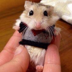 jackies_musings's tweet photo. @MelancholyMango here is some cute in celebration of the new freak chapter! #Watty2014 http://t.co/1IyxITDaaA http://t.co/DI5Vcr4jZJ