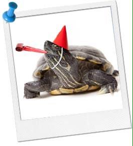 MarselMeeshell's tweet photo. Tonight's wrap party was immense 🐢 #TurtleParty #YouMeAndThem #Pray4Marsel http://t.co/tBR1ql0ooZ