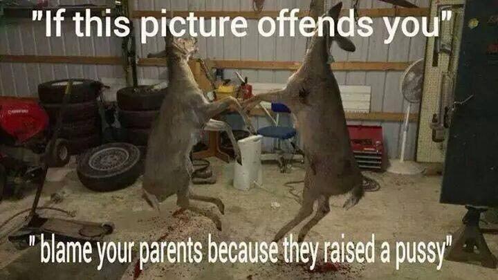 OutdoorObsessor's tweet image. Pretty much