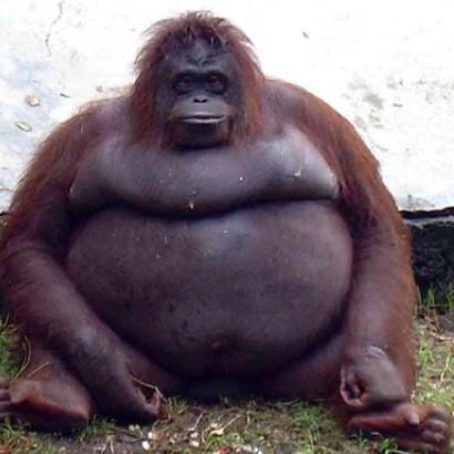 YAGAAAA_'s tweet photo. Someone took a candid of me after chipotle: http://t.co/vjFKGRLLd5