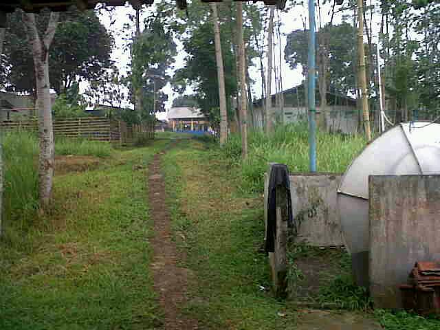 Marsangap tweet picture