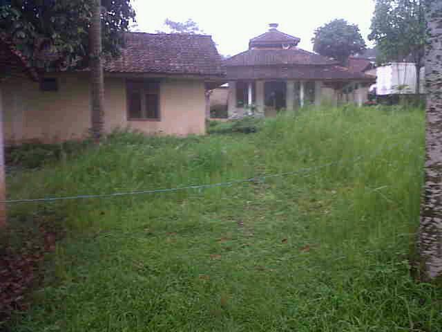 Marsangap tweet picture