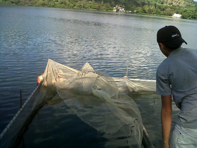 LeoApastepeque's tweet photo. Un joven lanza una atarraya en la laguna de Apastepeque,  el comercio funciona a través del cultivo de la tilapia. http://t.co/ymwZdbsFWX