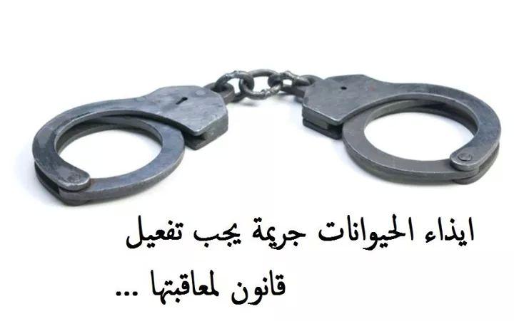 أتمنى أن نصل لمرحلة العدل ونزاهة القوانين التي تجرم قتل وتعذيب الحيوان