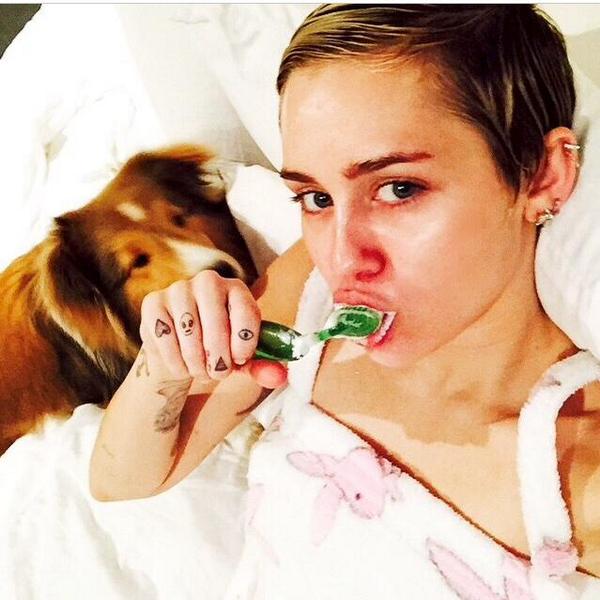 MylyCyruz's tweet photo. Miley and Emu  @MileyCyrus ♥ http://t.co/0A8wfSwbJp