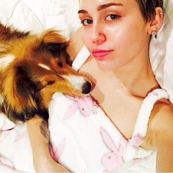 MylyCyruz's tweet photo. Miley and Emu  @MileyCyrus ♥ http://t.co/0A8wfSwbJp