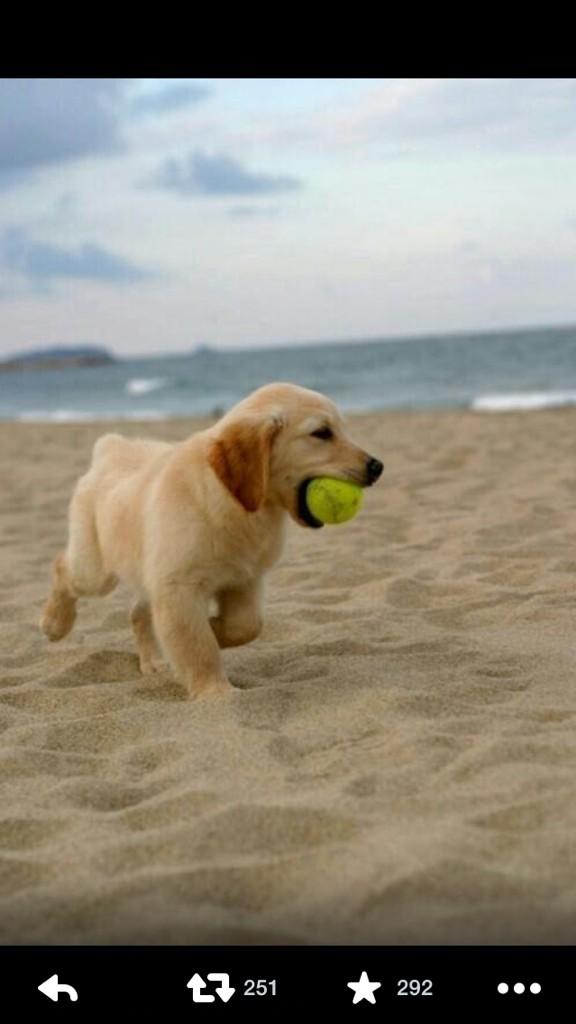 sfgujvdfg's tweet image. I&apos;ll play with you cutie 😭❤️❤️❤️