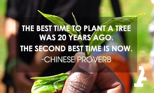 Acumen's tweet photo. “The best time to plant a tree was 20 years ago. The second best time is now.” – Chines Proverb http://t.co/jwM1bgiNba