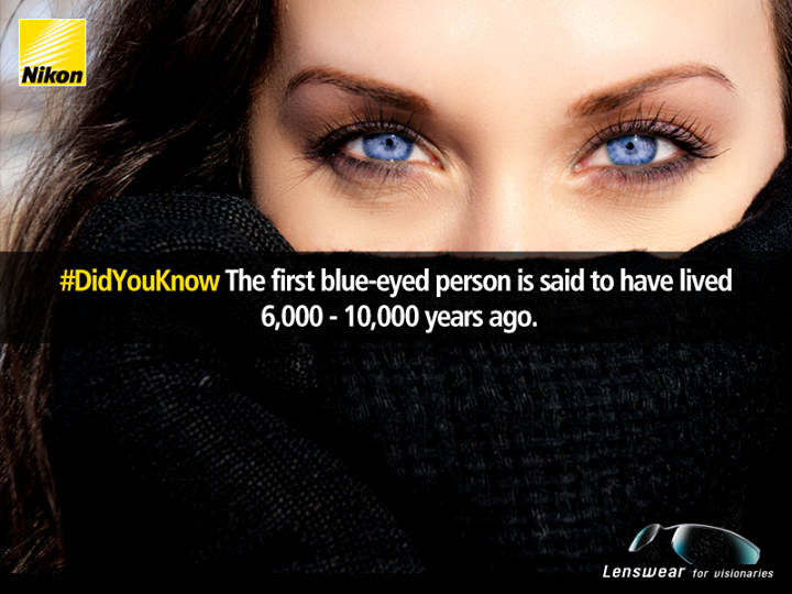 HandpickedPics's tweet photo. #DidYouKnow The first blue-eyed person is said to have lived 6,000 - 10,000 years ago. (via http://t.co/L9t4y4bXi5) http://t.co/s5DngY9jLa