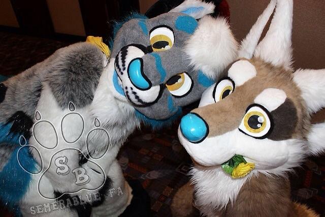 SabotageLynx's tweet image. #FursuitFriday feat the yellow-eyes-blue-nose-blue-pawpads club! #mff2013 @DoggyRyo