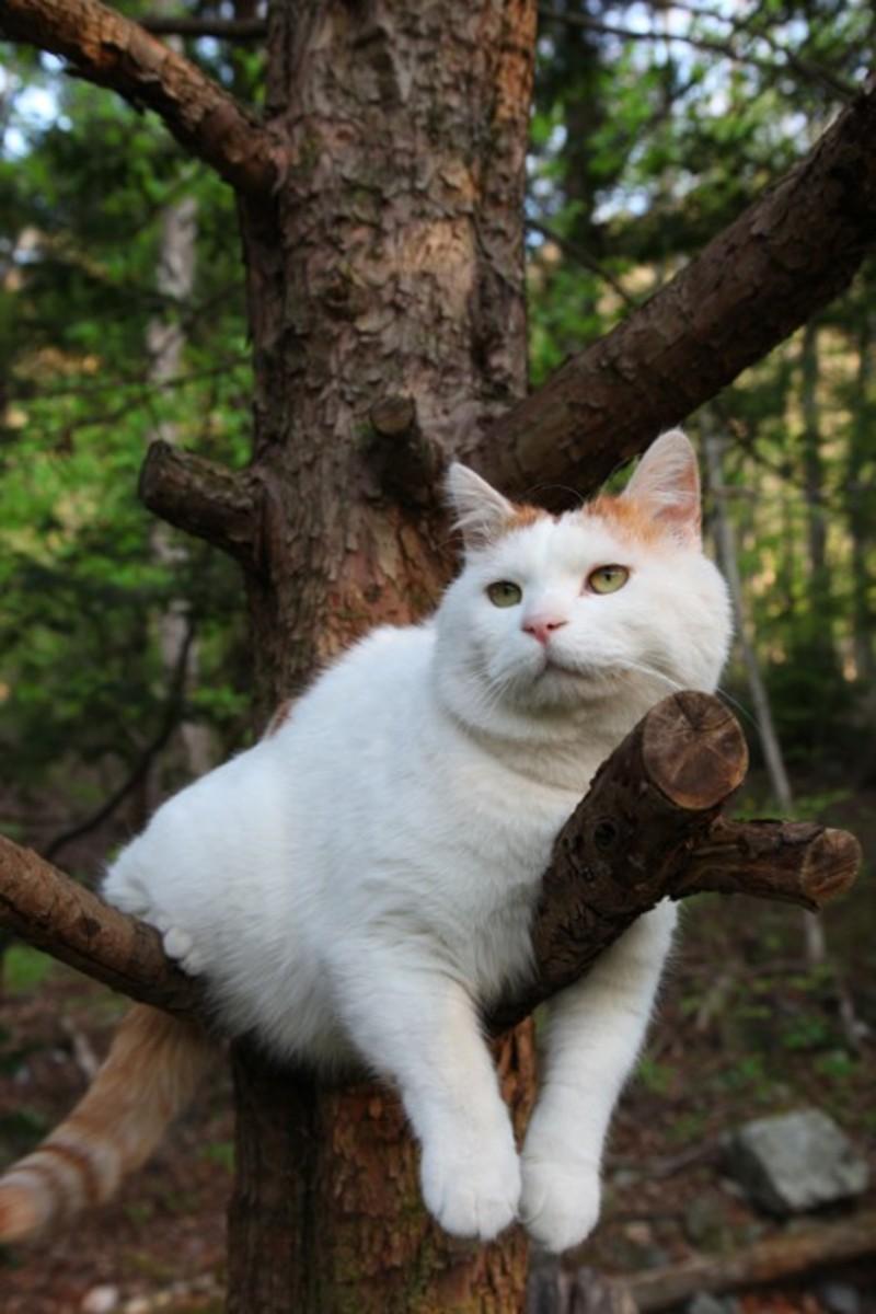 Melodie68's tweet photo. Bonjour TwitterWorld et bon week-end relax :D #LotOfThanks http://t.co/lGab1oxpCy