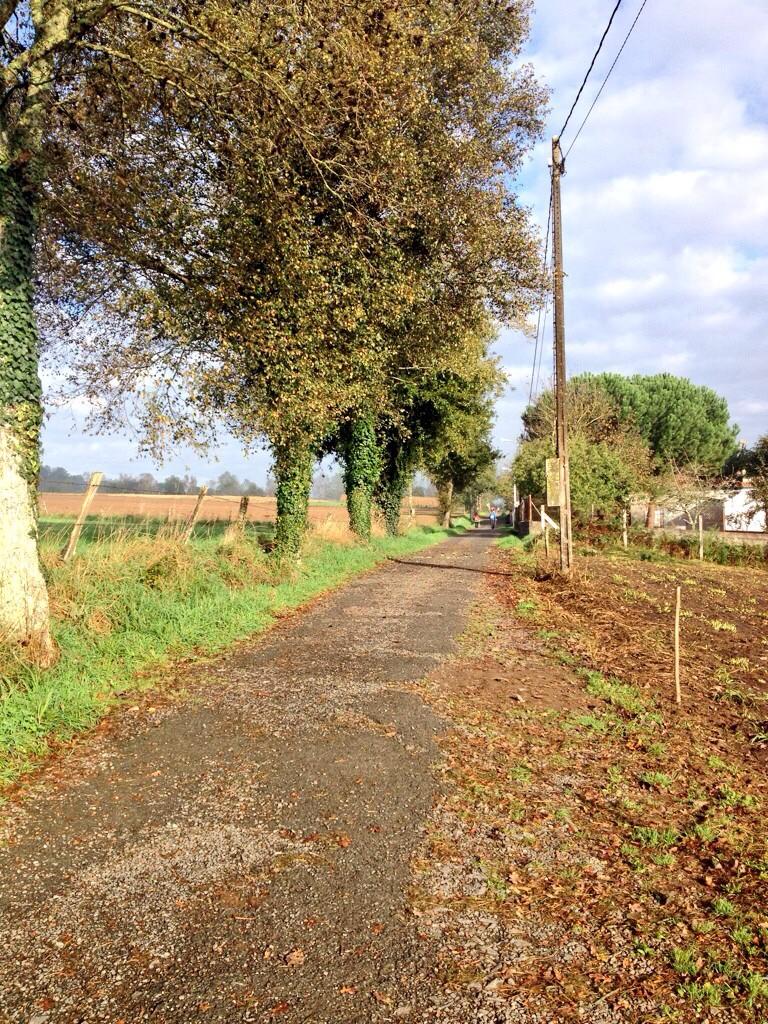 La App #Sendegal también está en las redes sociales especializadas bit.ly/1uHEO3X #muycercadeSantiago