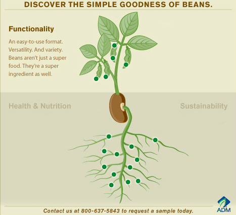 bonenbende's tweet photo. En zo is het. #mightybean
http://t.co/WTnyZvgtOj http://t.co/cdc5dPm5ak