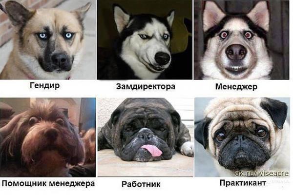 lburtNotte's tweet image. 