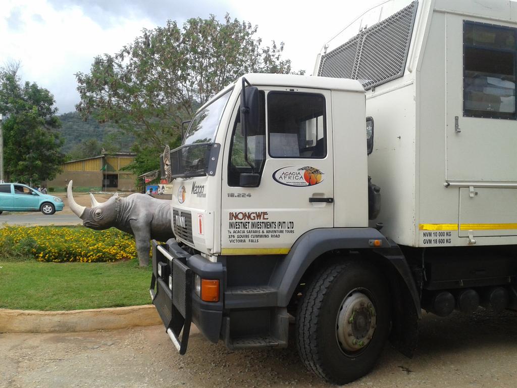 BervenB's tweet photo. @AcaciaAfrica,#saveinongwe @tjleroux75 @MichelleLewis33. Inongwe in Tanzania. Stop the Rhino poaching. http://t.co/MSBoEqjLTI