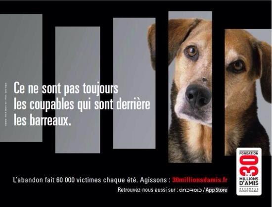 30MillionsD'amis tweet media