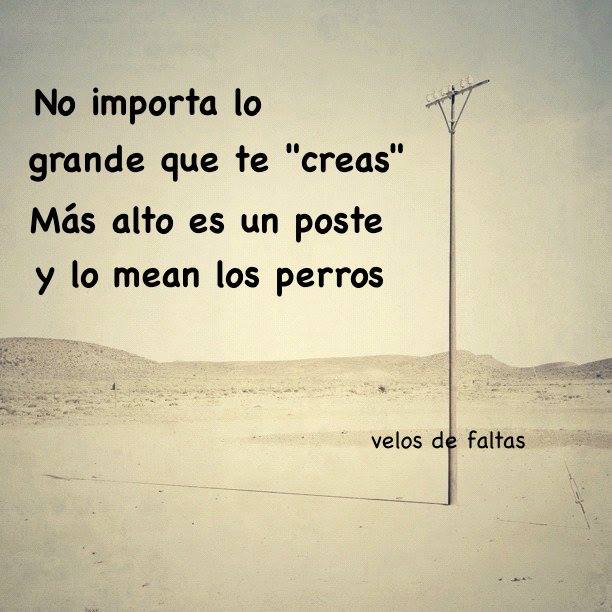 SobrelamesaBlog's tweet photo. Por muy grande que te creas que eres siempre... ;) http://t.co/uQA5jpPQZE