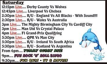 Dolphin Inn tweet media