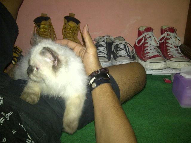 Shanda_eno2's tweet photo. Di kamar sama si imut http://t.co/DVQey5Wgmk