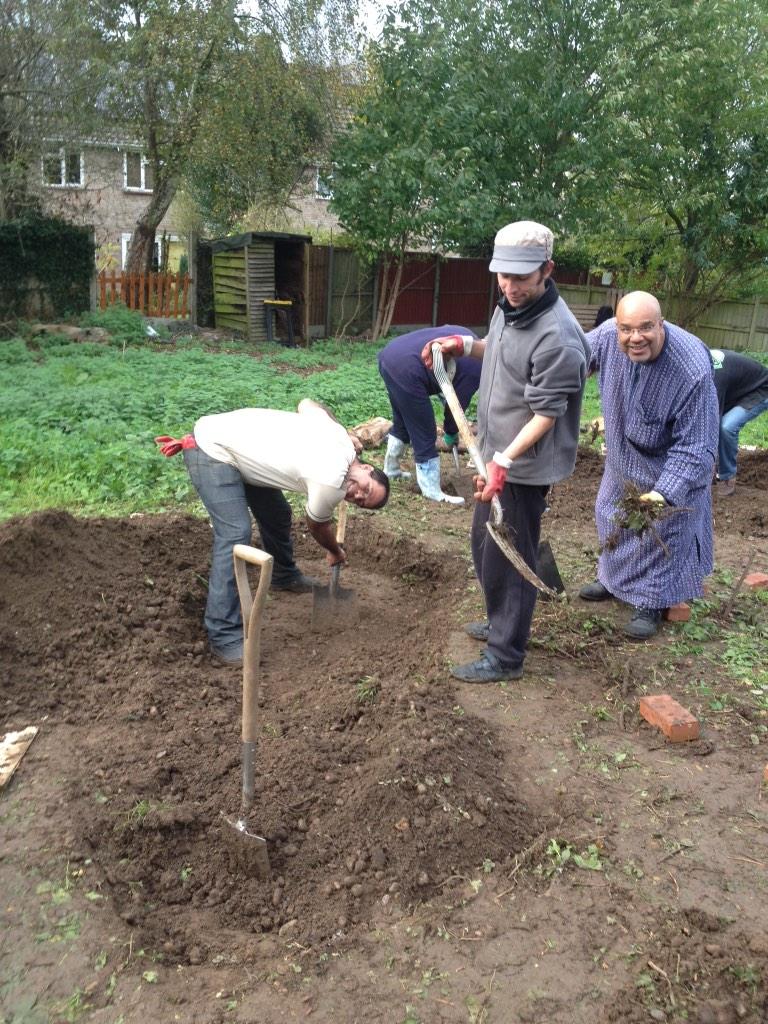 PermablitzLDN's tweet photo. Permablitzing at Billericay - digging the hugel trench. More later. http://t.co/0cUZRBkCu0