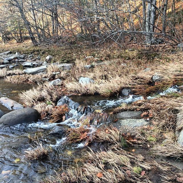 WeekendWalkout's tweet image. RT @Ted_Fuller: Small #waterfall near Chesterfield Gorge ift.tt/1u9JRYM  - Nice shot.