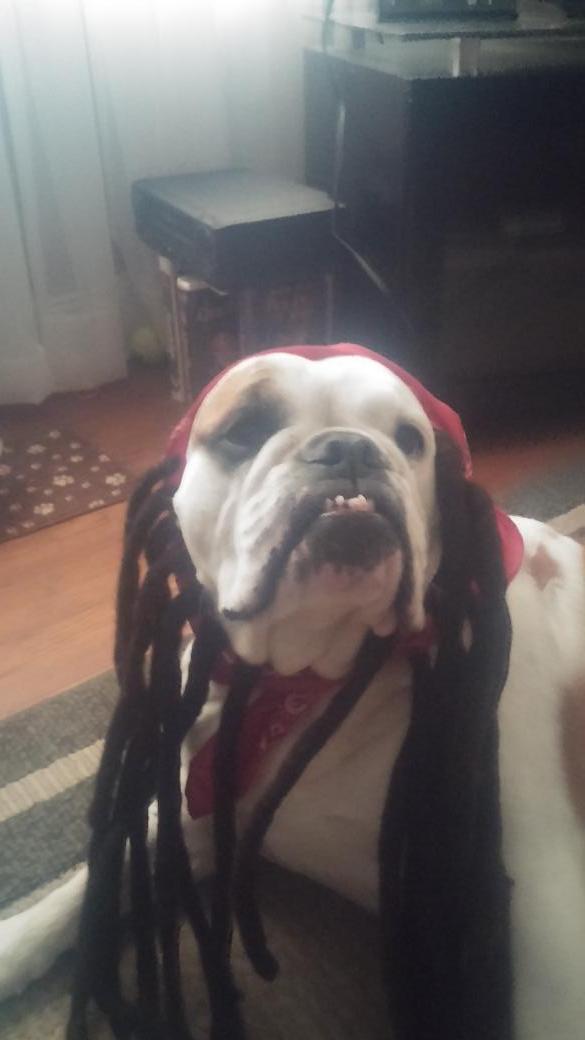 therealquimo's tweet image. Lets get this party started. Go bucks. @jleon29 @Glenncox97 @markjump64 @jrols19 @JRSnakePitt