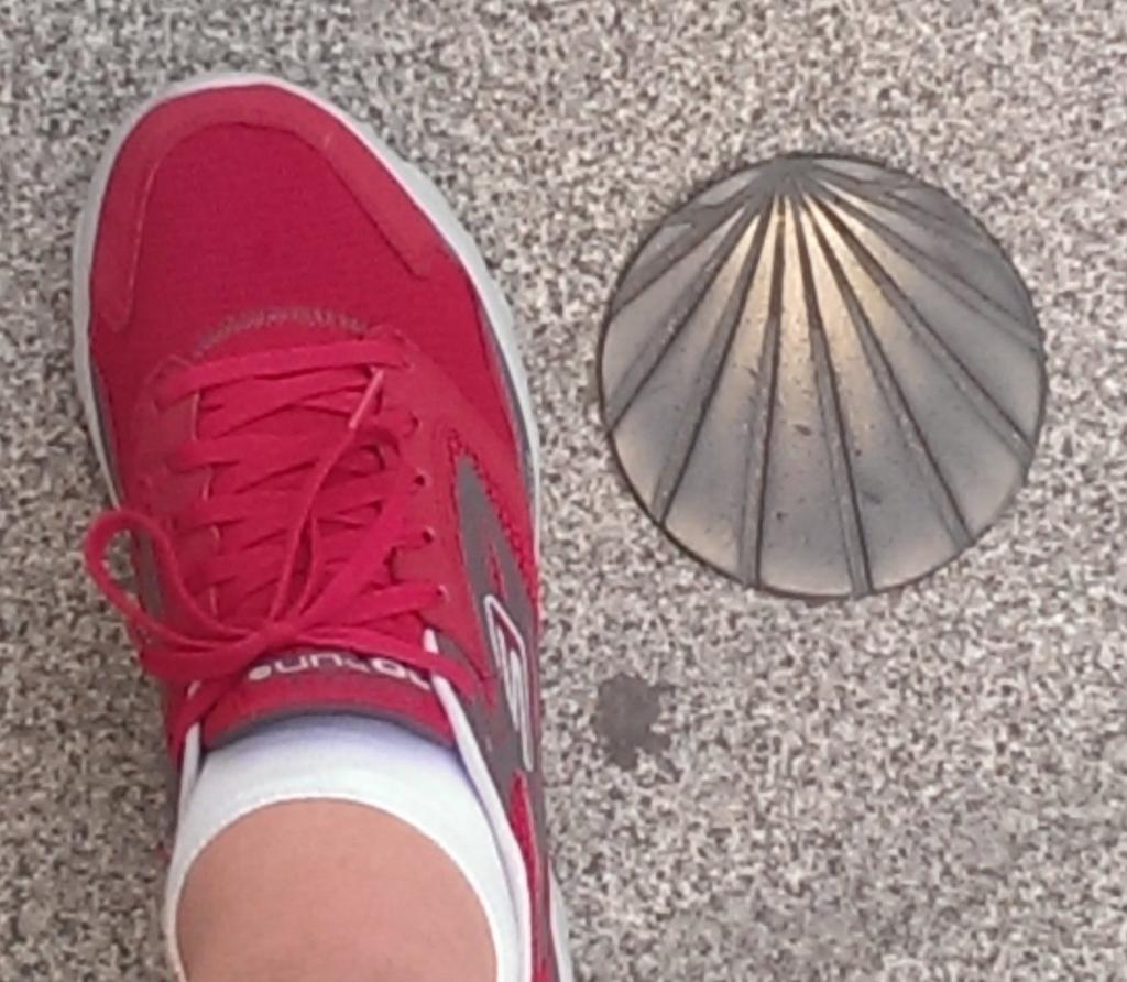 mi_cardiologo's tweet image. También hubo tiempo para #running en #sec14.. Todo no fue #cardiotuit