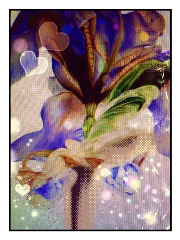 LucianaCaporaso's tweet image. How beautiful is this lilly .. Have a beautiful weekend people #simpleasures