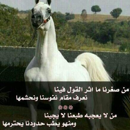_zaaaa tweet picture