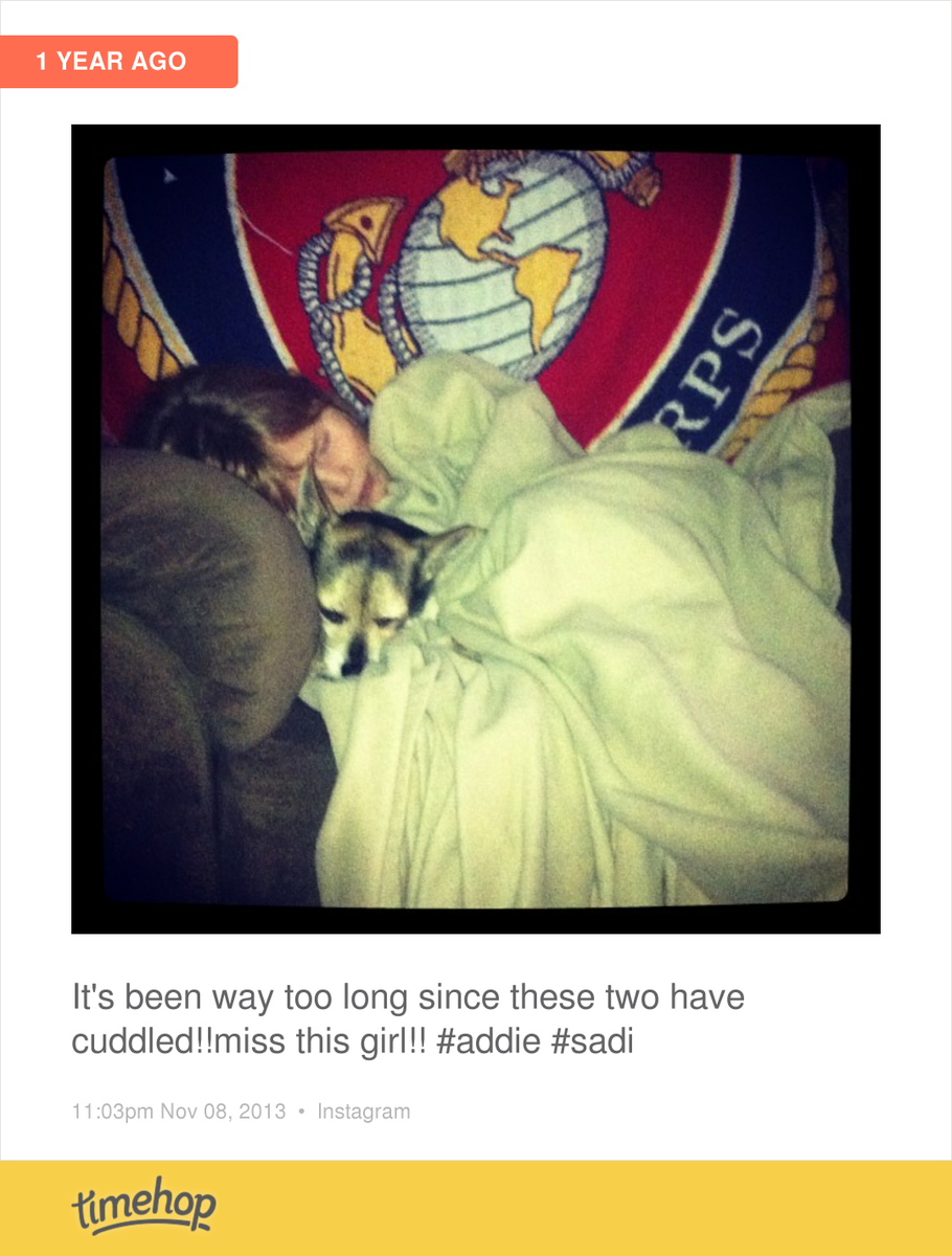 2003Dean's tweet image. Awe!! Miss you Addie!! And sadi does too!!  timehop.com/c/ip:585134037…