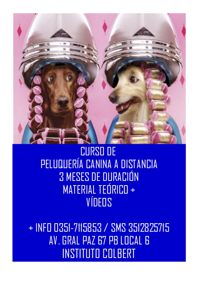 virtualschoolar's tweet image. 