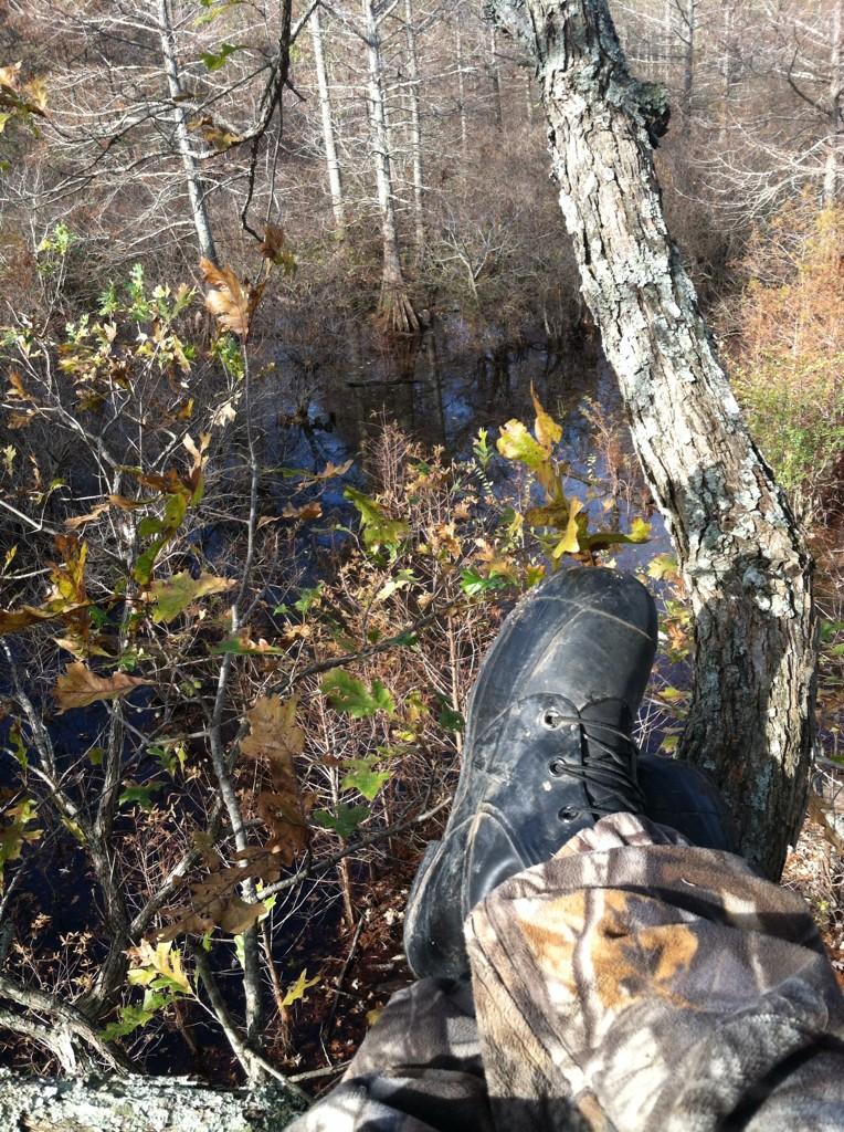KeithPAllen's tweet photo. It just seems like good things happen when I'm wearing the #MickeyMouse boots. #swampstand #Mingo @Realtree http://t.co/LdV5Mj8Cd7