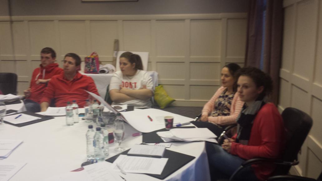 irc_youth_'s tweet photo. Feedback on the roles of youth leadership in the new Irish Red Cross structure! #ircy #nywg http://t.co/WDI0clwsUB