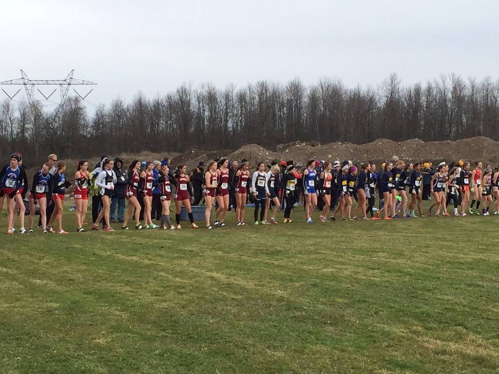 Chris Compson tweet media