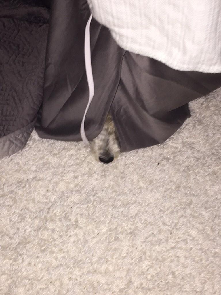 thehenrywatson's tweet photo. *when you get in trouble but you dont know if its safe to come out yet* http://t.co/afgp6k9KkI