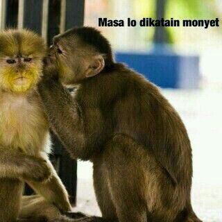 Heroes wanna be (@sukasukanijam) on Twitter photo 