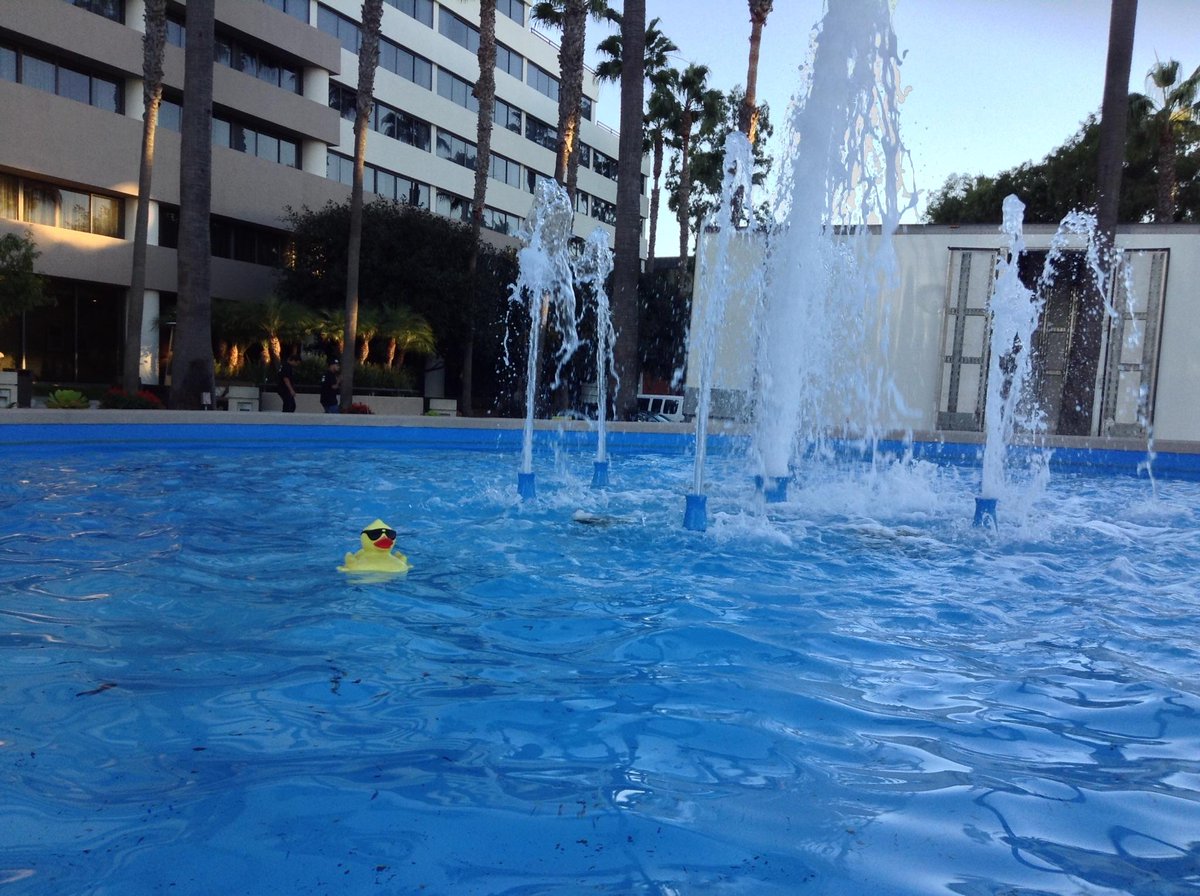 You're never alone if you've got your rubber duck. #MTC2014