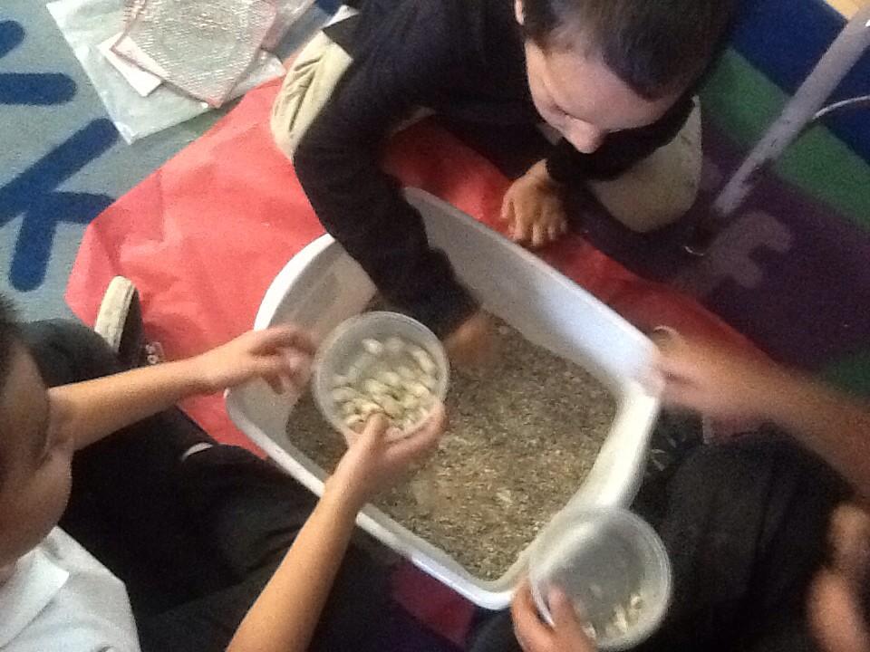 GinaALarson's tweet photo. Writing in Science with ESL support. PROUD OF MY FIRST GRADERS! http://t.co/Ps0EdB0KU7