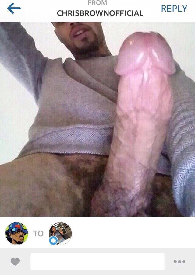 Brown Dick 66