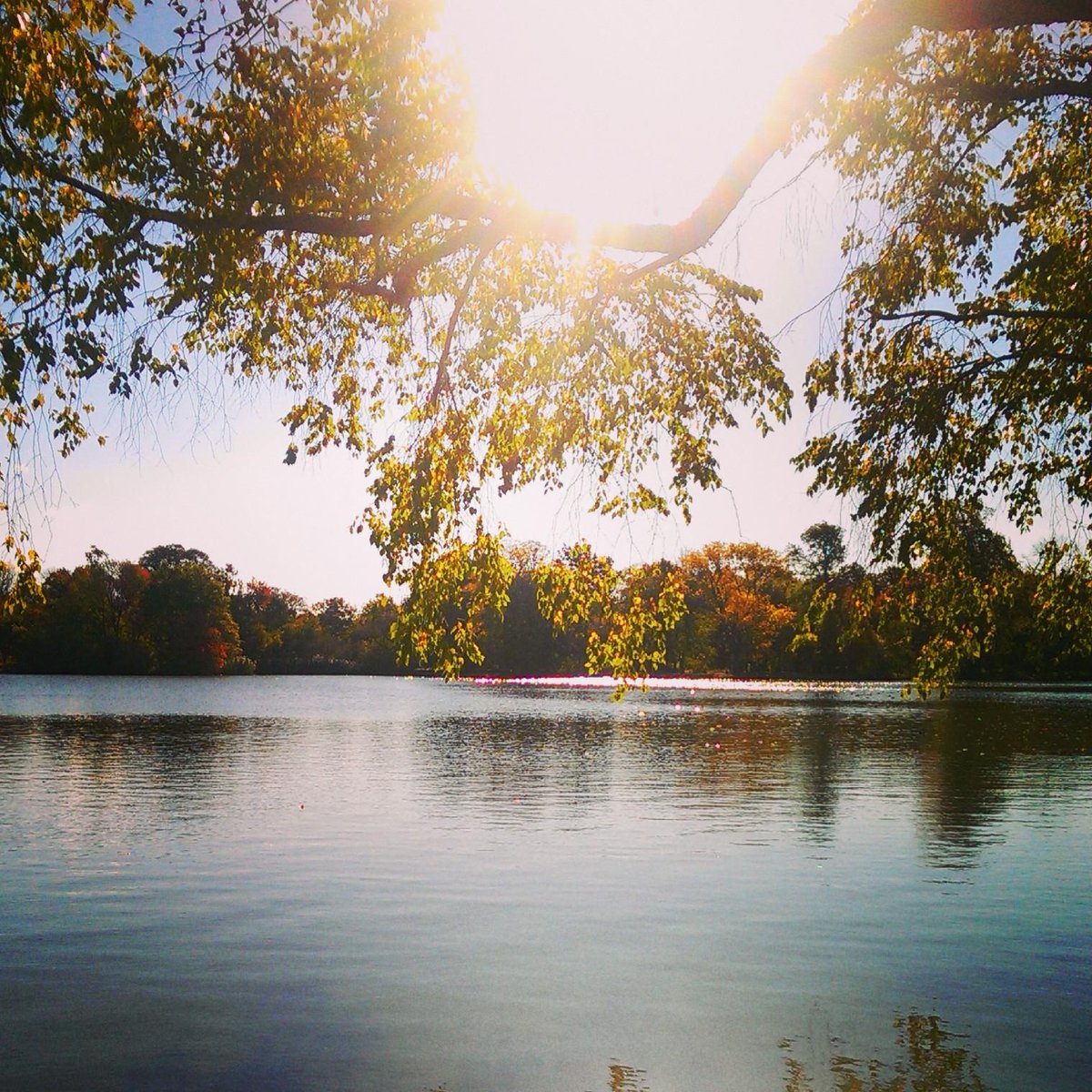 prospect_park's tweet photo. It's gorgeous outside! Come see the foliage &amp; stay for family-friendly fun http://t.co/ioUD0eVFGQ #propsectpark http://t.co/UWJ3x0rIcG