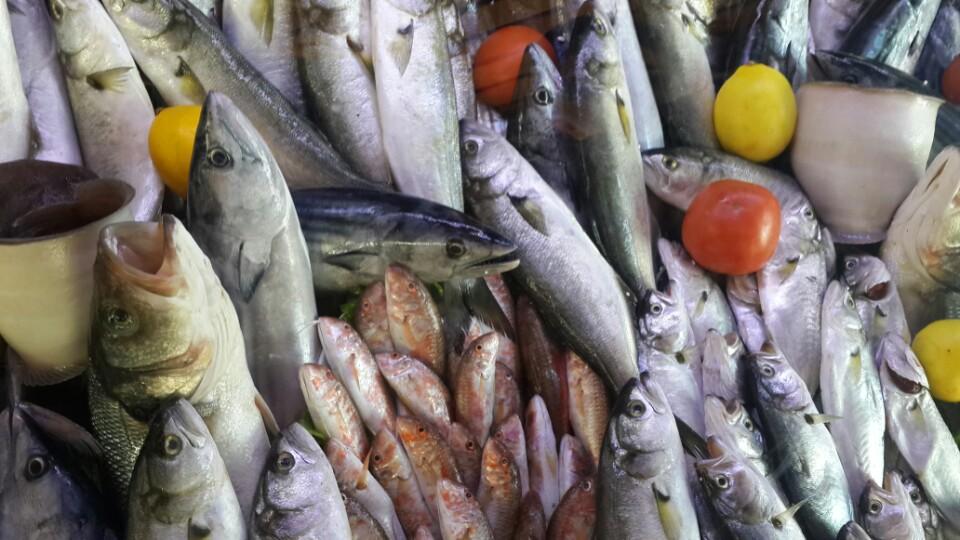 I'm at Dolphin Balık Restaurant in İstanbul 4sq.com/1xaI8Vw