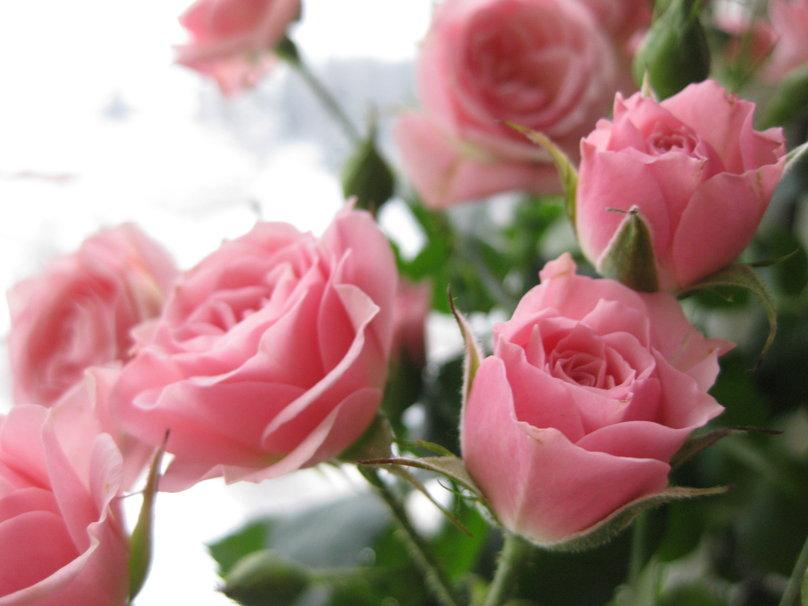 Hrysaktis's tweet photo. @TownsendPetra Thank you too.😄 http://t.co/ASofgVLdmx