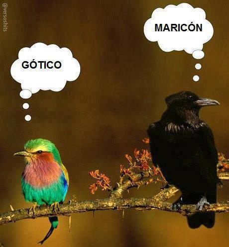 versoshits's tweet photo. Gótico... Maricon... http://t.co/nor0fIMpLt